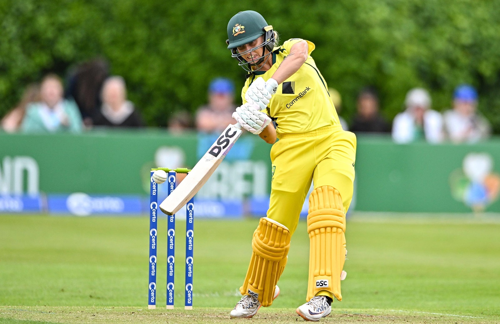 Gardner finds batting groove after dominant bowling tour