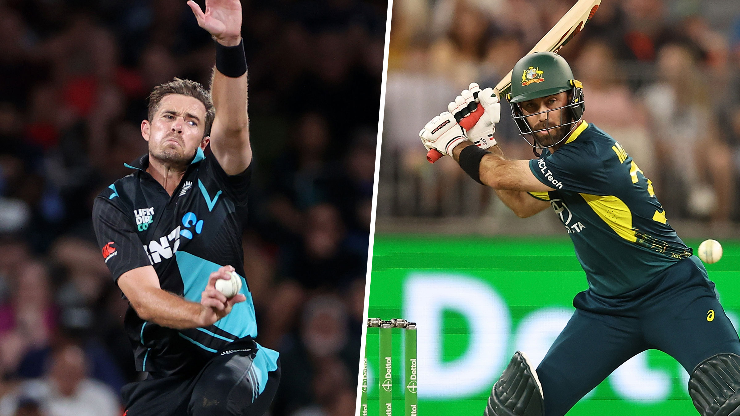 All you need to know: New Zealand v Australia T20 series | cricket.com.au