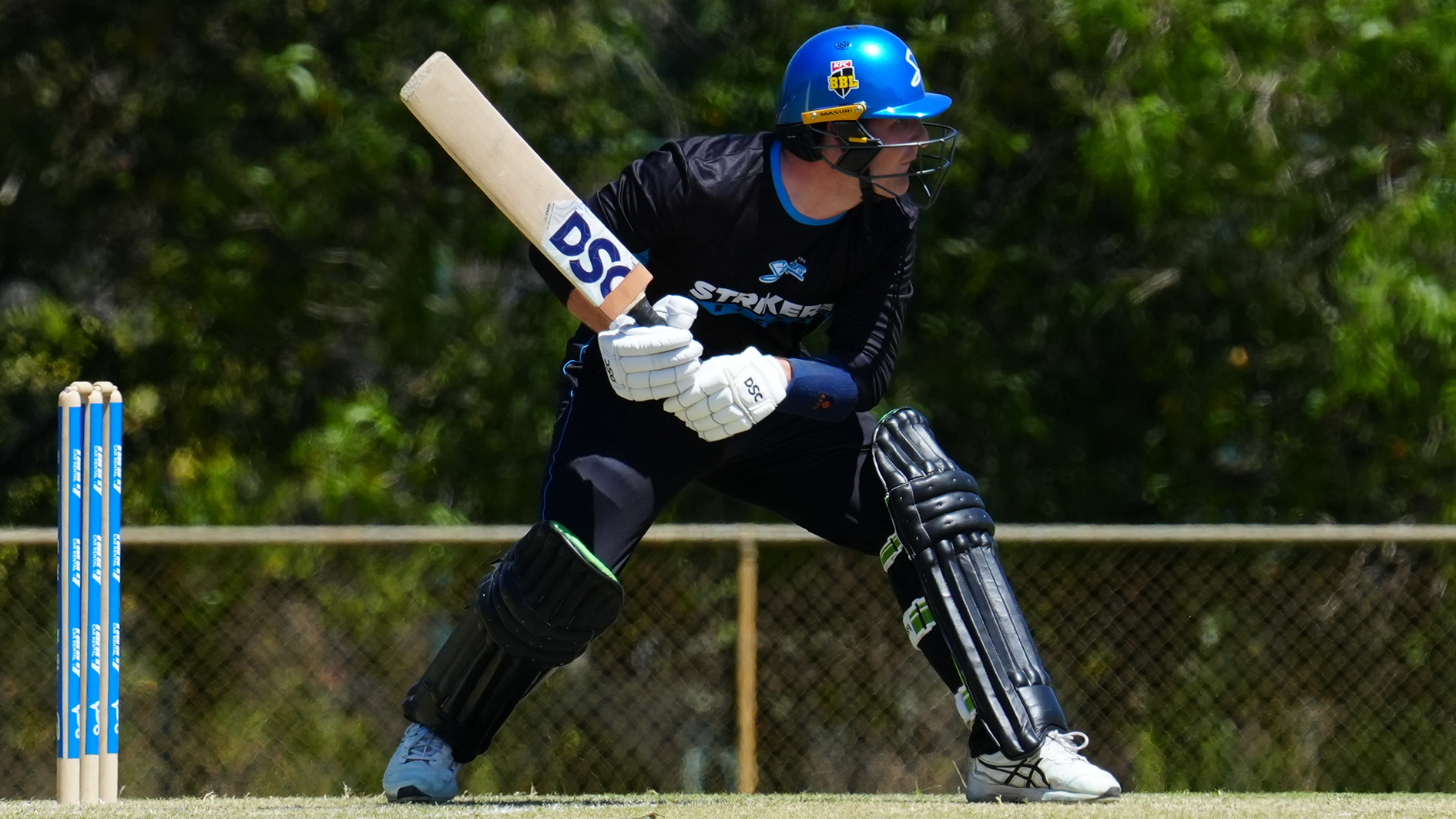 BBL & WBBL Clubs Scramble for Talent: Key T20 Tournaments Shaping Squads