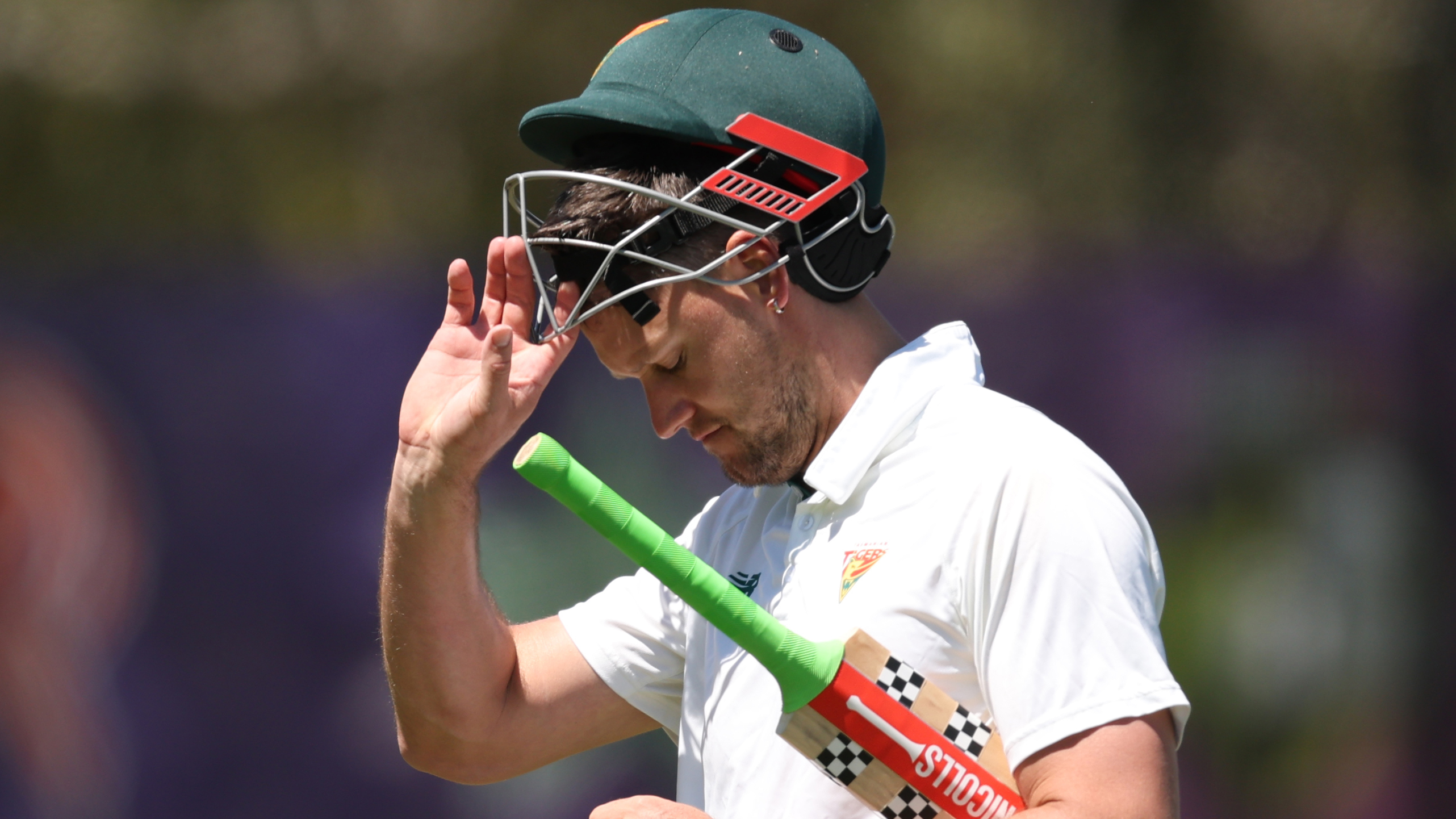 Webster out cheaply in Shield return as Vics take lead cricket com au