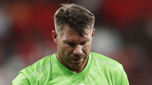 David Warner allegedly told police he had ‘three glasses of wine’ before Sydney drink driving incident
