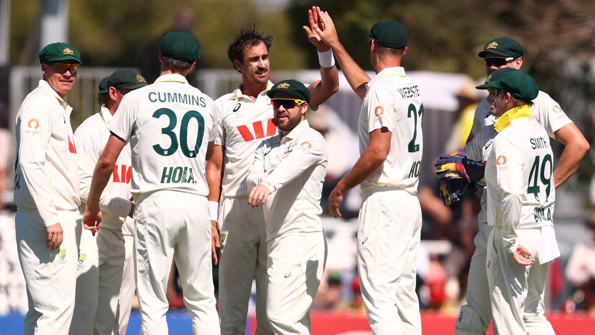 Mitchell starc celebrities after taking a wicket